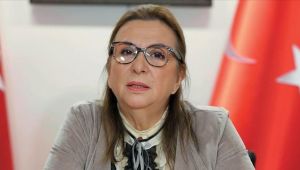 Bakan Pekcan, Zynga'nın Rollic'i satın almasını değerlendirdi