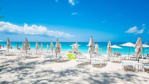 Korona turizmde 1,2 trilyon dolar kaybettirecek
