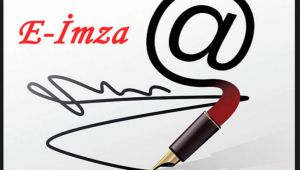 Küresel büyüme yüzde 34, Türkiye’de yüzde 40