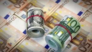 Yurt içi yerleşiklerin döviz mevduatı 6.6 milyar dolar arttı