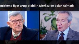 Zincirleme fiyat artışı olabilir, Merkez'de dolar kalmadı