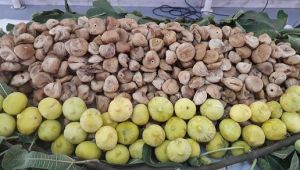 ABD pazarına 2 milyar dolar ihracat hedefleyen gıda sektöründen hibrit tanıtım etkinliği atağı