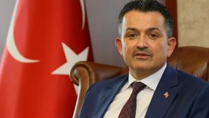 Bakan Pakdemirli: 3,2 milyon lira fındık üreticilerimizin hesaplarına yatırıldı