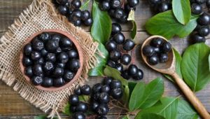 Bir dönüm araziden 40 bin lira kazandırıyor! Ana vatanı Kuzey Amerika olan aronya meyvesini Trabzon'da yetiştiriyor