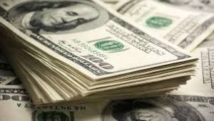 Bireyler de şirketler de dolar sattı
