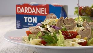 DARDANEL İLK YARIYILDA TARİHİNİN EN İYİ BİLANÇOSUNU AÇIKLADI