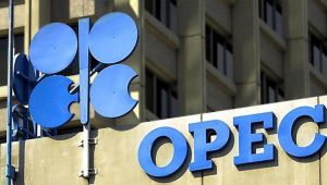 OPEC zayıf talep ve güçlü arz ile petrolde görünümünü düşürdü