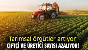 Tarımsal örgütler artıyor faal çiftçi sayısı azalıyor