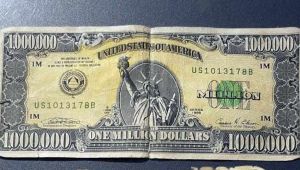Tavşanlı'da 1 milyon dolarlık banknot ele geçirildi!