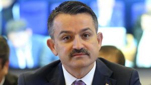 Bakan duyurdu... O çiftçilerin ödemeleri bugün yatıyor