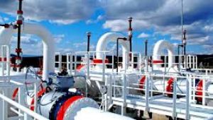 Enerji Bakanı'ndan doğal gaz açıklaması