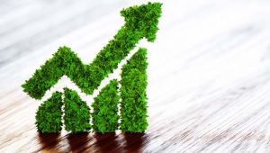 Küresel yeşil tahvil piyasası 1 trilyon doları aştı