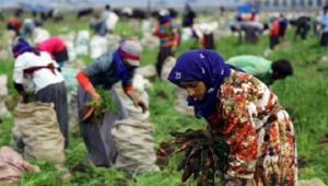 Şekerbank’tan “Dünya Kadın Çiftçiler Günü”ne özel kampanya