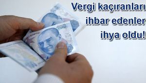 Vergi kaçıranları ihbar edenlere 2019'da 12,3 milyon liralık ikramiye ödendi