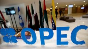 OPEC'in 180. Toplantısı başladı