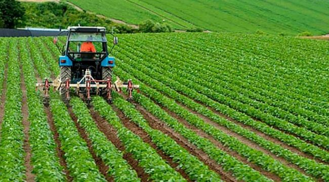 Tarımsal destek hususları belirlendi: Sınır 3 milyon TL