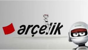 Arçelik Japon Hitachi’nin beyaz eşya birimine talip oldu