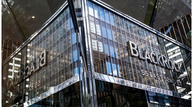 Dünyanın en büyük varlık yöneticisi 'risk' modunu artırıyor