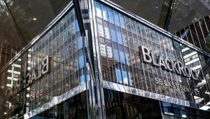 Dünyanın en büyük varlık yöneticisi 'risk' modunu artırıyor