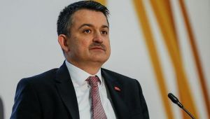 Pakdemirli: 2021'de 24 milyar lira tarımsal destek ödemesi yapacağız