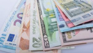 Reel efektif döviz kuru endeksi yükseldi