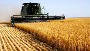 Tarımda Üretici Fiyat Endeksi yükseldi