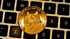 Dogecoin bir günde yüzde 812 değer kazandı