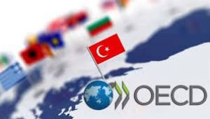 OECD İstanbul Merkezi yarın açılacak