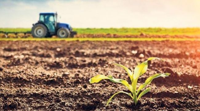 Tarım ÜFE yıllık yüzde 14 oranında arttı