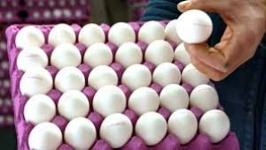 Yumurtanın ‘sebebi’ üretici değil!