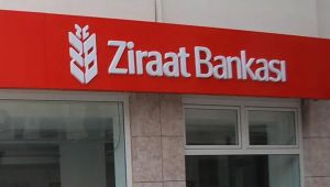 Ziraat Bankası internet sitesinde 874 adet tarlayı satışa çıkardı