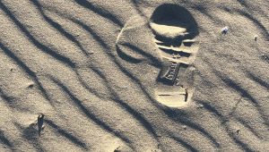 Camper x STRAVA: The Walk, Don't Run (Koşma, Yürü) Meydan Okuması