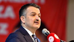 Pakdemirli'den istifası sonrası ilk açıklama: