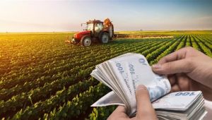 205 milyon lira tarımsal hibe desteği verilecek