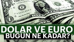 Döviz açılış fiyatları