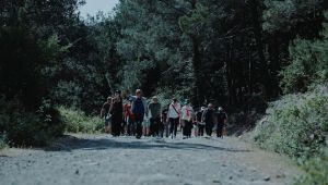 Borusan Okyanus Gönüllüleri Orman Farkındalığı ve Temizliği için Buluştu