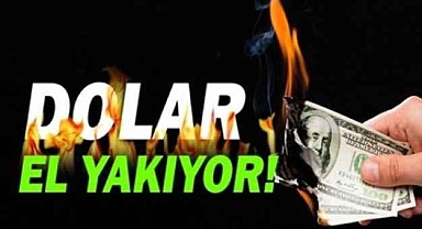 Dolar 17.50
