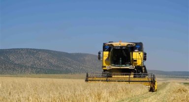 Küçük çiftçiye hasatta destek