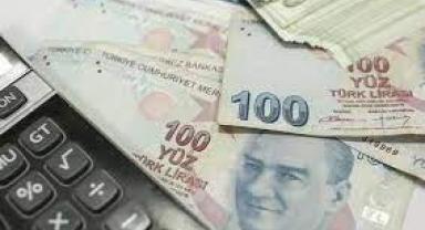Ticari kredide döviz şartı, 300 civarında şirketi kapsıyor