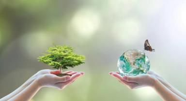 Zorlu Enerji Biyoçeşitlilik Araştırması: Hedef canlıların yaşam alanlarını iyileştirerek korumak 