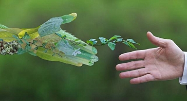 Borusan'dan sürdürülebilirlik odaklı atama