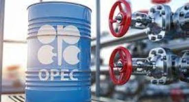 OPEC+'dan üretim kesintisi kararı