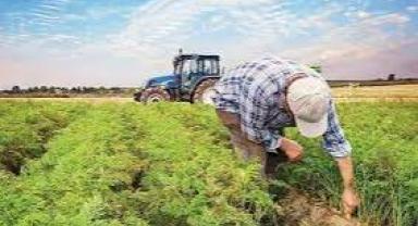 2022 tarım destekleri açıklandı