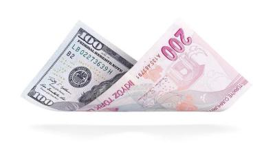 TL, Dolar'a karşı denge seviyesinde