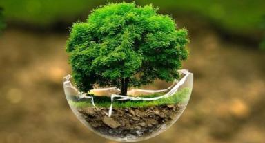 Avusturyalı firmaların yeşil teknoloji yatırımları sürecek