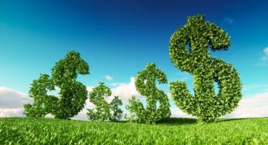 Gelişmekte Olan Ülkelerde Gönüllü Sürdürülebilirlik Standartları Yoluyla Yeşil İhracatı Teşvik Etmek