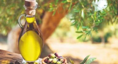 Tariş, sızma zeytinyağı alım fiyatını açıkladı