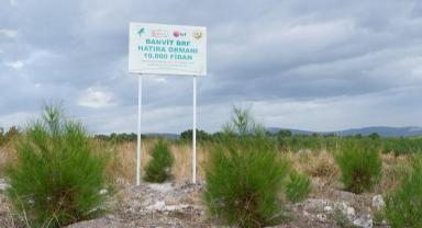 Banvit BRF Ormanı 40 bin ağaca ulaştı