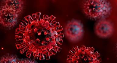 Influenza gribi nedir?