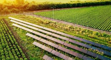 Sürdürülebilirlik ve İklim Lideri Wilo'ya Ege Orman Vakfı'ndan Gold Standart VER Sertifikası